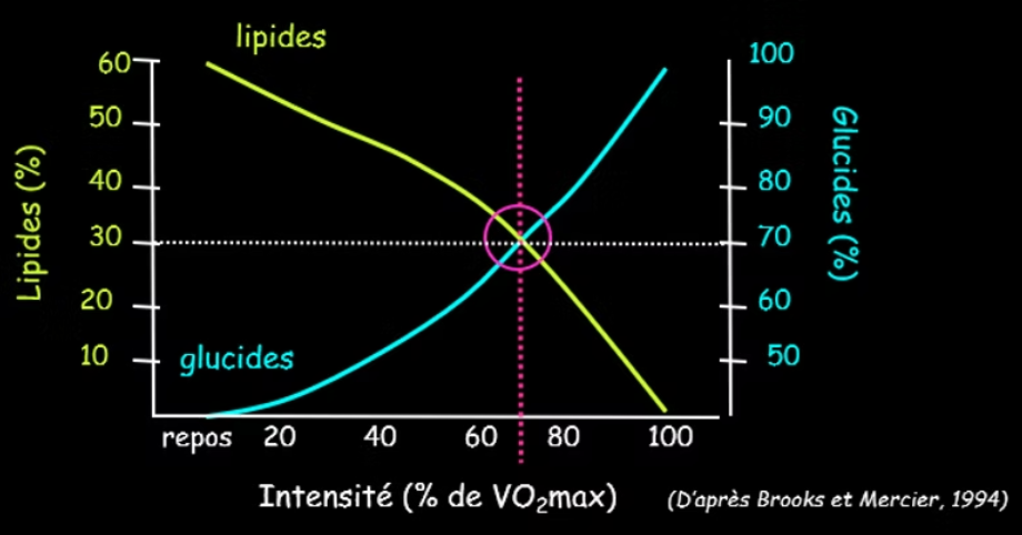 filières énergétiques en fonction de l
